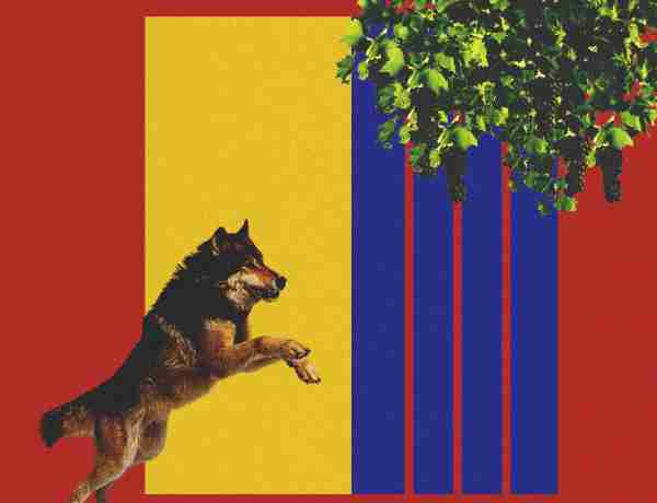 FC Barcelona, The Fox in a Wolf's Den - An Alternative Match Report